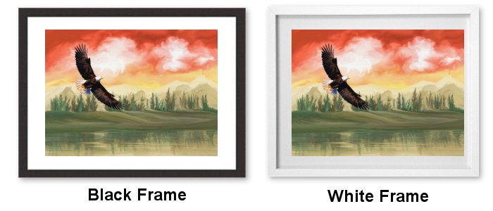 Frame Choice